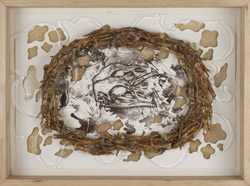 Mary Claire Becker, Balsam Gardens Memento Mori