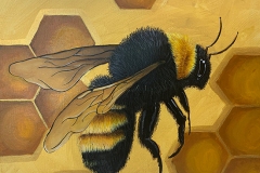Shannon-bee-550