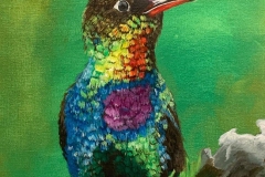 Shannon-bird-550