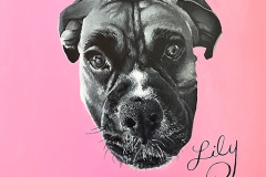 Shannon-dog-550